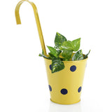 Green Girgit Plant Container Set