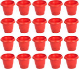 Natures Plus IMG_0004 Plant Container Set