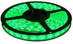 VRCT 196 inch Green Rice Lights