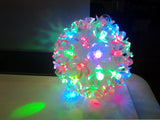 Home Delight 10 inch Red, Green, Blue, Multicolor Rice Lights