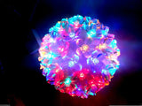 Home Delight 10 inch Red, Green, Blue, Multicolor Rice Lights