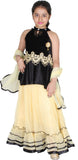 Tiny Toon Embroidered Girl's Lehenga, Choli and Dupatta Set