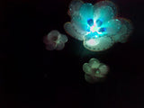 Itiha 3 inch White Rice Lights