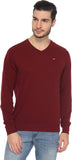 Lee Solid V-neck Casual, Party Men's Sweater