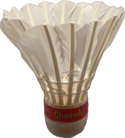Anand's Chameli Feather Shuttle  - White