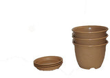 Minerva Naturals Plant Container Set