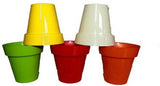 Minerva Naturals Plant Container Set