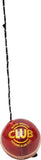 Sun Sports Hanging Ball Club Cricket Ball -   Size: 5,  Diameter: 2.5 cm