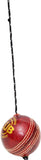 Sun Sports Hanging Ball Club Cricket Ball -   Size: 5,  Diameter: 2.5 cm