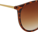 Olvin Wayfarer Sunglasses