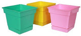 Minerva Naturals Plant Container Set
