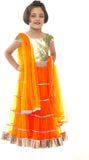 Pakiza Design Self Design Girl's Lehenga, Choli and Dupatta Set