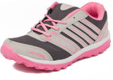 Spick Cricket Shoes