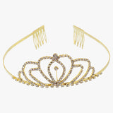 Pink Rose Crown