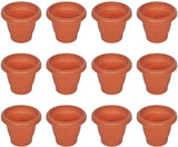 Real Seed Planter Highly Durable and Elegant Plant Container Set