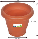 Real Seed Planter Highly Durable and Elegant Plant Container Set