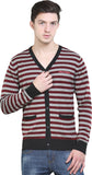 Platinum League Striped V-neck Casual Men's Sweater