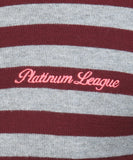 Platinum League Striped V-neck Casual Men's Sweater
