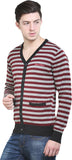 Platinum League Striped V-neck Casual Men's Sweater