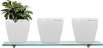 Yuccabe Italia Combo for 3 Stoic White Self Watering planter Plant Container Set