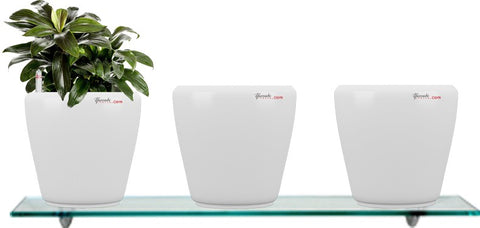 Yuccabe Italia Combo for 3 Stoic White Self Watering planter Plant Container Set