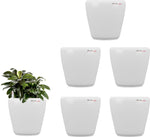 Yuccabe Italia Stoic White Self Watering Plant Container Set