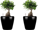 Yuccabe Italia Plant Container Set