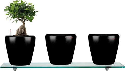 Yuccabe Italia Combo for 3 Stoic Black Self Watering planter Plant Container Set