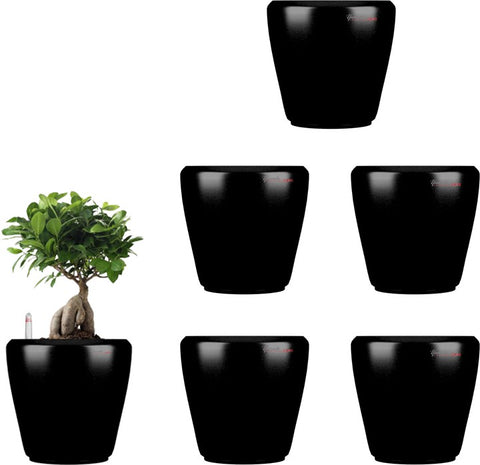 Yuccabe Italia Stoic Black Self Watering Plant Container Set
