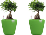 Yuccabe Italia Plant Container Set