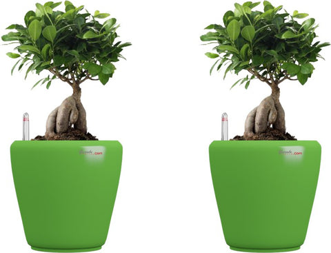 Yuccabe Italia Plant Container Set