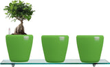 Yuccabe Italia Combo for 3 Stoic Green Self Watering planter Plant Container Set