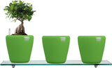Yuccabe Italia Combo for 3 Stoic Green Self Watering planter Plant Container Set
