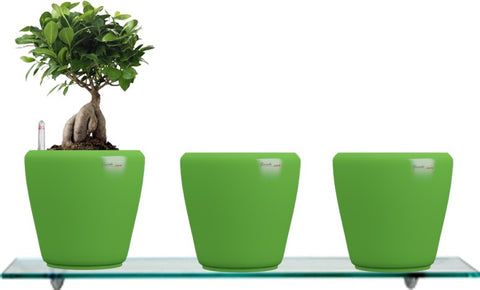 Yuccabe Italia Combo for 3 Stoic Green Self Watering planter Plant Container Set