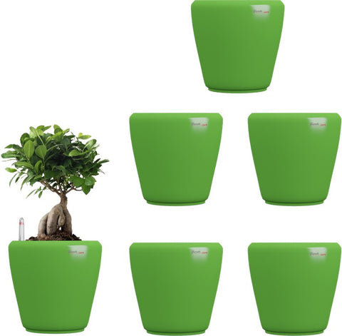 Yuccabe Italia Stoic Green Self Watering Plant Container Set