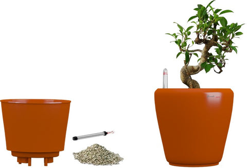 Yuccabe Italia Stoic Orange Self Watering Planter Plant Container Set
