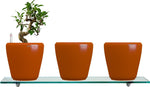 Yuccabe Italia Combo for 3 Stoic Orange Self Watering planter Plant Container Set