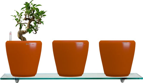 Yuccabe Italia Combo for 3 Stoic Orange Self Watering planter Plant Container Set