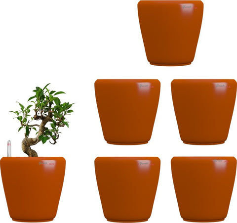 Yuccabe Italia Stoic Orange Self Watering Plant Container Set