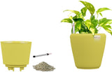 Yuccabe Italia Stoic Yellow Self Watering Planter Plant Container Set