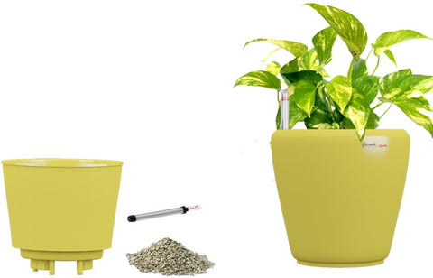 Yuccabe Italia Stoic Yellow Self Watering Planter Plant Container Set