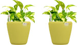 Yuccabe Italia Plant Container Set