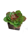 V Creations Bonsai Cactus Artificial Plant  with Pot