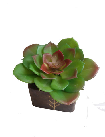 V Creations Bonsai Cactus Artificial Plant  with Pot