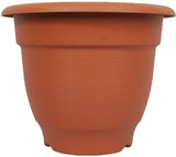 Easy Gardening 10 Inch Elegance Plant Container Set