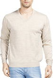Raymond Solid V-neck Casual Men's Sweater
