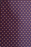 Peter England Polka Print Tie