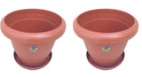 Easy Gardening Home Plant Container Set