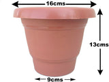 Easy Gardening Home Plant Container Set