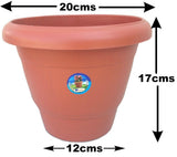 Easy Gardening Home Plant Container Set